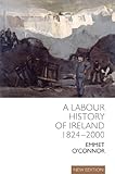 Image de A Labour History of Ireland 1824-2000