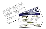 Fish Ident-I-Cards – Set of 9 Freshwater Fish Identification Cards, Outdoor Stuffs