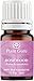 Rosewood Essential Oil. 5 ml. 100% Pure, Undiluted, Therapeutic Grade. Sample Size