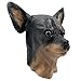 Off the Wall Toys Chihuahua Dog Costume Face Mask Kennel Club Browns
