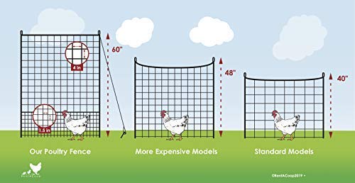 RentACoop Fencing Kit (60'L x 5'H)