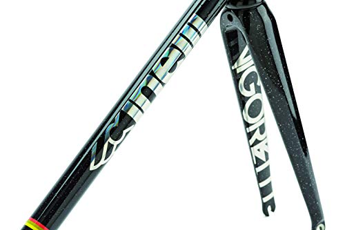 vigorelli track steel