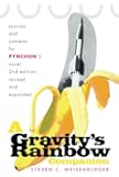 A Gravity's Rainbow Companion: Sources and Contexts for Pynchon's Novel, 2nd Edition