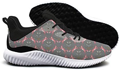 IGDLA Fox Give Its Five To Its Companion Lightweight Women Shock Absorbing Trail Runners