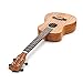 Afuaim Ukulele Soprano 21 Inch Mahogany Uke AUM-21M Ukulele Pack with Gig Bag