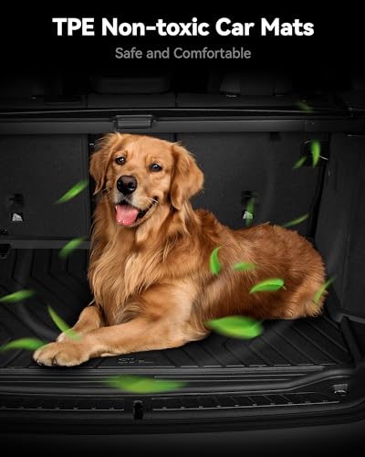 3W 9 Piece Set Floor Mats & Boot Liner & Seat Back Cover Fit for Tesla Model Y 2021-2024, All Weather Dog Friendly TPE Car Mats Anti-slip Heavy Duty Tesla Accessories (Not for Model Y Juniper)