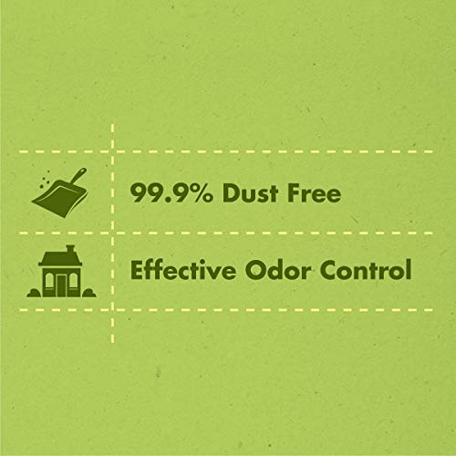 Purina Yesterday's News Non Clumping Paper Cat Litter, Unscented Low