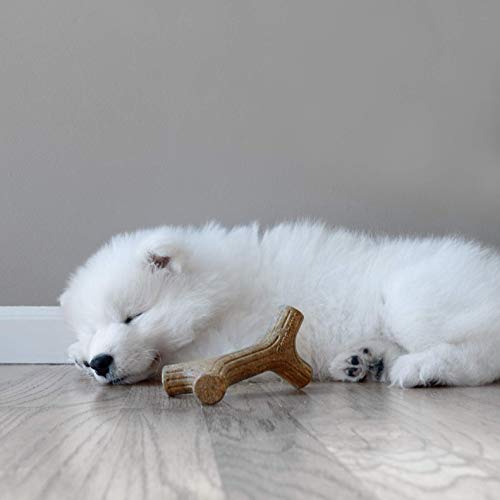 Benebone Puppy Maplestick Dog Chew Toy Made In Usa Real Maple Wood Flavor Small In Kenya Whizz