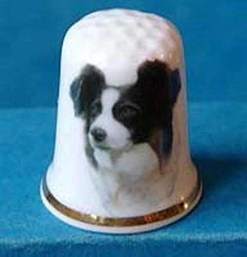 Porcelain China Collectable Thimble -- Border Collie Dog