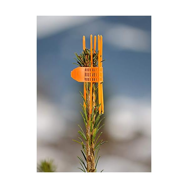 Latschbacher 03-100 Double Save orange Protector Signumat Verbissschutz Baumschutz mit Doppelverschluss gegen Wildverbiss für Jungbäume Double Save Schutzmanschette 100 Stück orange – Bild 6