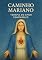 Livro “Caminho Mariano — Terapia do Amor Compassivo”