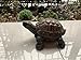 donau Garden Statues Turtle Figurines Polyresin Garden Sculpture Turtle Decor 5.1 inch