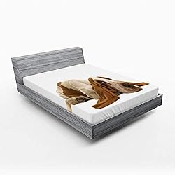 Ambesonne Basset Hound Fitted Sheet, Long Eared Dog