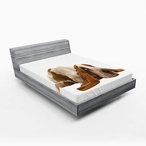 Ambesonne Basset Hound Fitted Sheet, Long Eared Dog