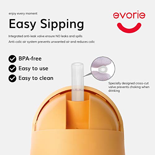 Evorie Tritan Weighted Straw Sippy Cup with Handles for Baby and