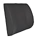 BackSaver Comfort Foam Lumbar Support Back Cushion - Mesh Polyester Cloth - Stress Pain & Ache Relief for Lower Back & Posture (Black)