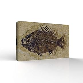Canvas Wall Art - Fish Fossil - Office Modern Home Art Stretched and Framed Ready to Hang - 12x18 inches