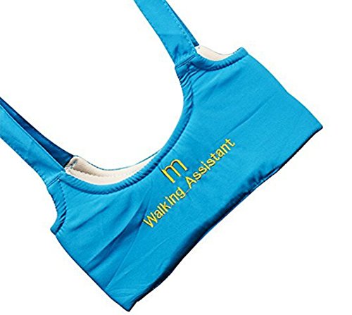 Baby Toddler Learn to Walk Walking Harness Aid Assistant Safety Rein Train Walking Protective Belt (Blue)