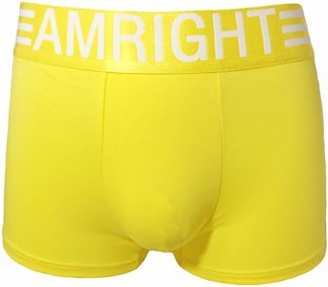 Am Right Amright Men's Underwear Boxer Briefs Yellow Line