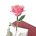 24 K Gold Foil Trim Long Stem Rose Last Forever Best Gift for Valentine's Day, Mother's Day,anniversary, Birthday Gift (Pink) by Holidayli