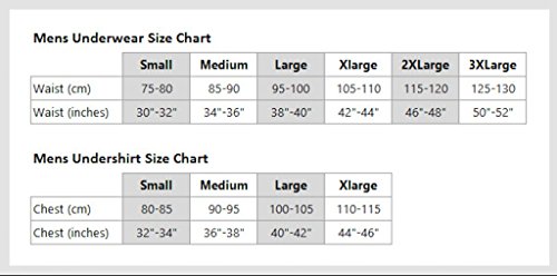 Obviously - Original - AnatoMAX - Bikini Brief (Small, Black)