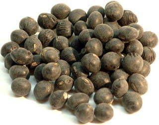 2015 annual production Sasayama production Oda fence shopping Tamba black beans LLL ball flying off 1kg Tanbaguro black beans black beans black beans, black soya beans grapes
