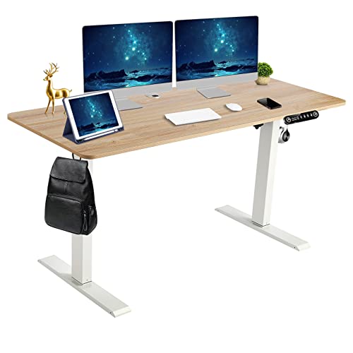 Electric Standing Desk Adjustable Height, 48''x 24'' Sit Stand Home