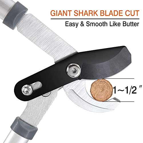 Altdorff Extendable Bypass Loppers,2432" Tree Trimmer&Branch Cutter