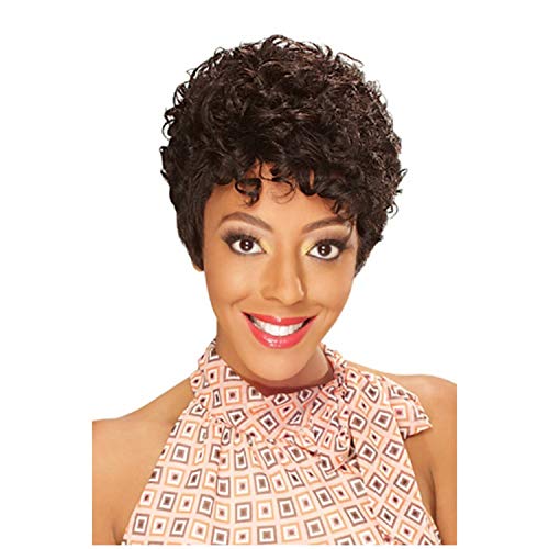 Amazon Com Zury Sis 100 Human Hair Wig Hallie 1 Beauty