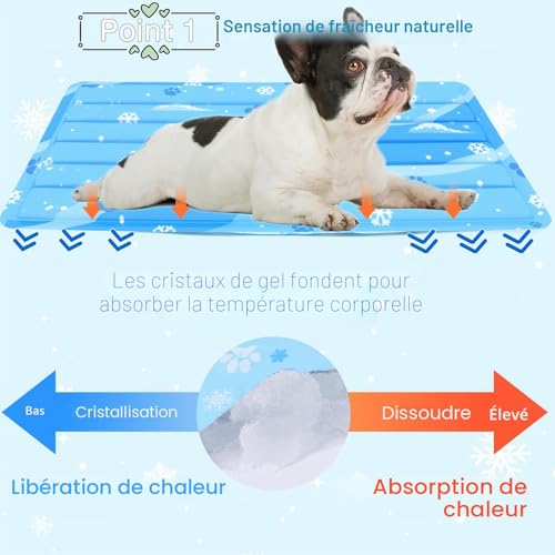 Dog Cat Cooling Mat with Non-Toxic Gel Self-Cooling Pad Scratch Resistant Durable for Summer (Blue, 50 x 90cm)