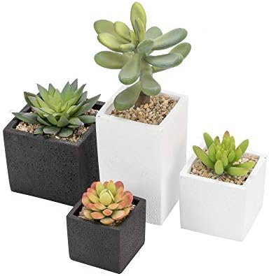 Nattol Set of 4 Black and White Succulent Planter, Plant Pots for Air Plants and Cactus