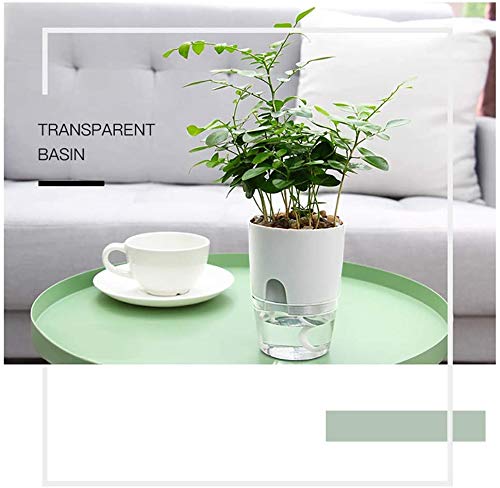 AITREASURE Plastic Plant Pots Self Watering Flower Planters Flower Pots for Indoor Outdoor with Cotton (3 Pack-4.1\'\' Clear Planter)