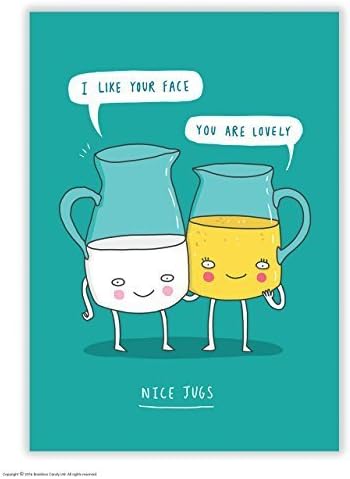 Funny Humorous 'Nice Jugs' Novelty Postcard