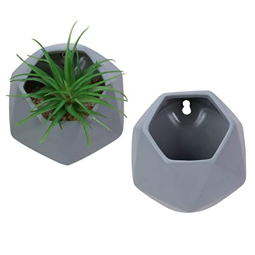 Nattol Wall Hanging Planters, 5″ Hanging Planter in Hexagonal Shape for Wall Décor, Set of 2