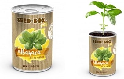Huerto urbano pequeño – LATA de Cultivo casero de ALBAHACA – Bote ...