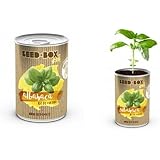 Huerto urbano pequeño – LATA de Cultivo casero de PEREJIL – Bote ...