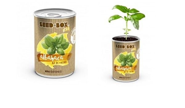 Huerto urbano pequeño – LATA de Cultivo casero de ALBAHACA – Bote ...
