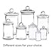 33OZ Glass Apothecary Jar 5 X 7.1 Inch Glass Canister Set with Ball Lid, 2-Piece Set