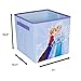 Frozen Else and Anna Collapsible Storage Bin by Disney - Cube Organizer for Closet, Kids Bedroom Box, Nursery Chest - Foldable Home Decor Basket Container with Strong Handles and Design