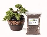 Bonsai Soil by Perfect Plants (2qts.)
