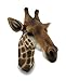 Zeckos Giraffe Bust Exotic Trophy Head Wall Hanging Sculpture