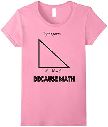 Womens Pythagoras Math T-Shirt Medium Pink