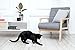 Petcube [2017 Item Play Smart Pet Camera with Interactive Laser Toy. Remote Dog/Cat Monitoring with HD 1080p Video, Two-Way Audio, Night Vision, Sound/Motion Alerts. App-Enabled Pet and Home Safety