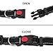 Hands Free Premium Running Dog Leash, Reflective Leash Adjustable Waist Belt + Strong Bungee Leash + Poop Bag Holder