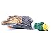Plush Squeaky Puppy Dog Chew Toy for Tiny Small Chewers, Mallard 8