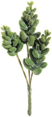 CK3023-GR 6 in. Donkey Tail Pick Green- Case of 12 by Silk Decor