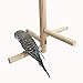 Woopets Bird Perch, Parrot Birdcage Stand Natural Toys Natural Wooden Activity Branches Climbing Stairs for Conure Parakeet Budgie Cockatiels Lovebirdsthumb 2