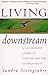 Living Downstream: An Ecologist Looks At Cancer And The Environment - Book by Sandra Steingraber