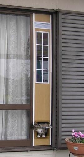 Amazon フリーペットドア S 175 ホワイト Leaps ドア 通販