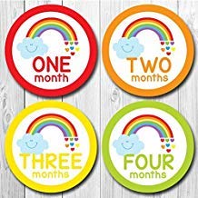 Home-organizer Tech Baby Month Stickers Cartoon Rainbow Boy Girl 1-12 Monthly Milestone Sticker Best Birthday Shower Gift Party Photo Age Sticker